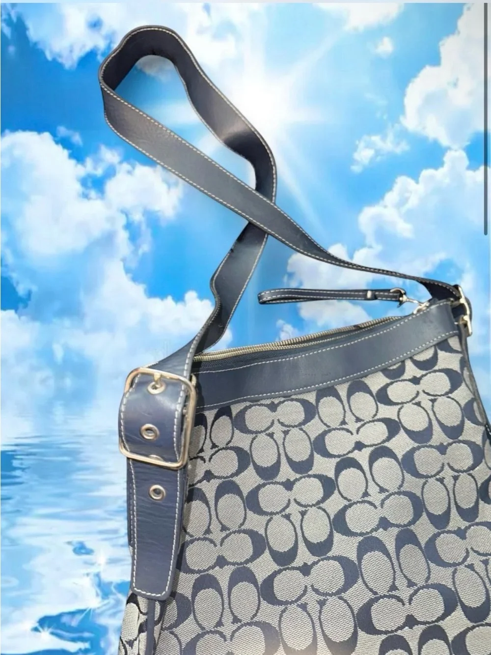 Coach Signature Canvas Shoulder bag